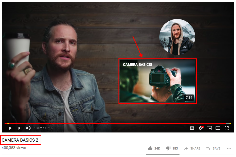 Peter McKinnon video annotation